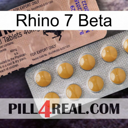 Rhino 7 Beta 41